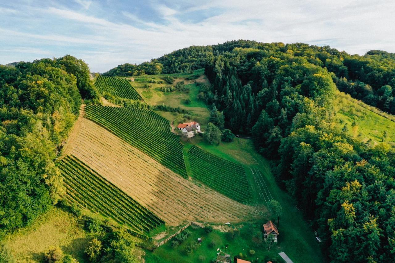Villa Winzerhof Strablegg Großklein Exterior foto